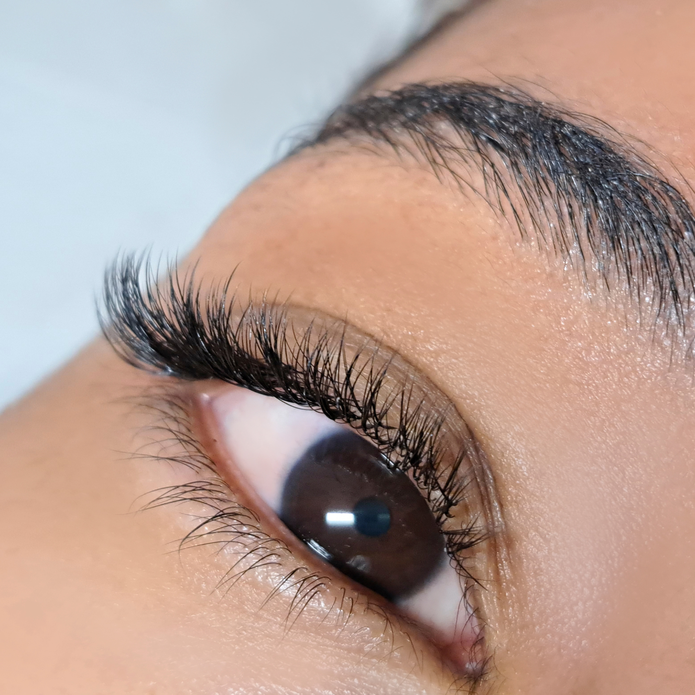 Lash Enhancing Peptide Serum - Wholesale